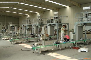 甘氨酸自動(dòng)包裝生產(chǎn)線機(jī)械設(shè)備銷售 高效自動(dòng)化解決方案助力精細(xì)化工產(chǎn)業(yè)升級(jí)